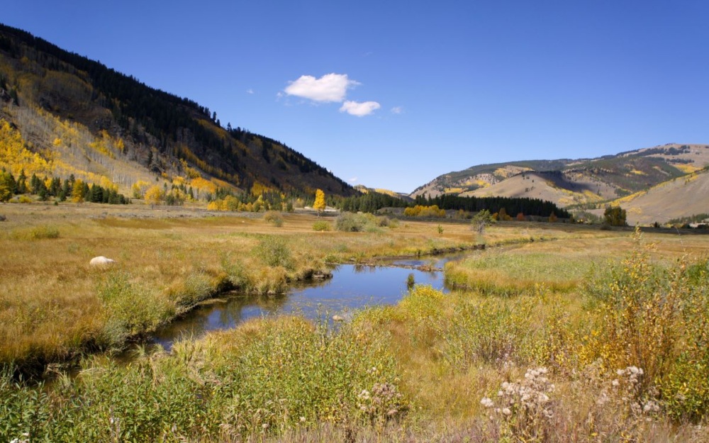 A stream runs through a field of grasses and wildflowers below a hilly range dotted by yellow trees.
