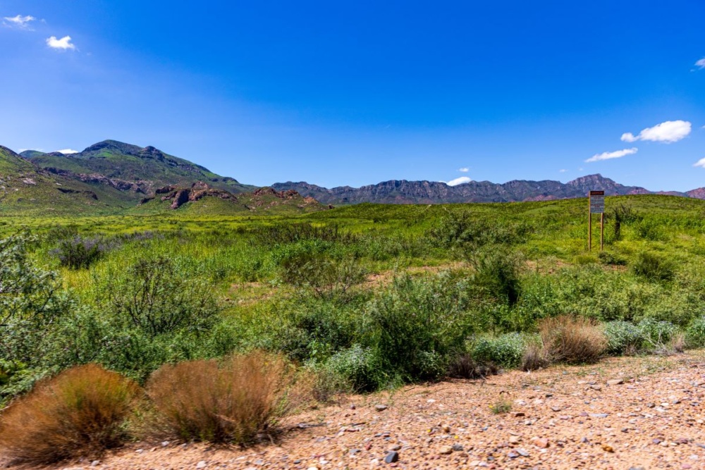 Under a clear blue sky, a distant mountain range in the background and a swath of green, shrubby flatland in the foreground.
